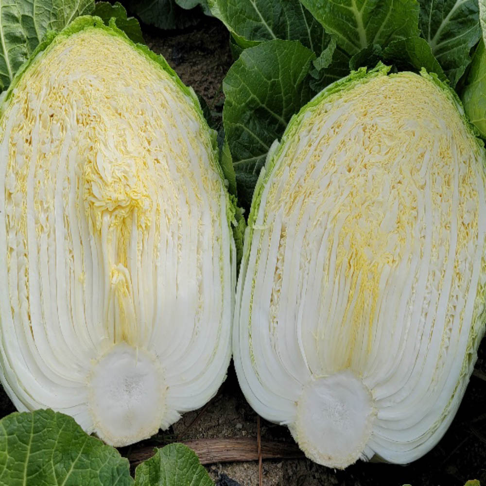 1668497774 thumbnail