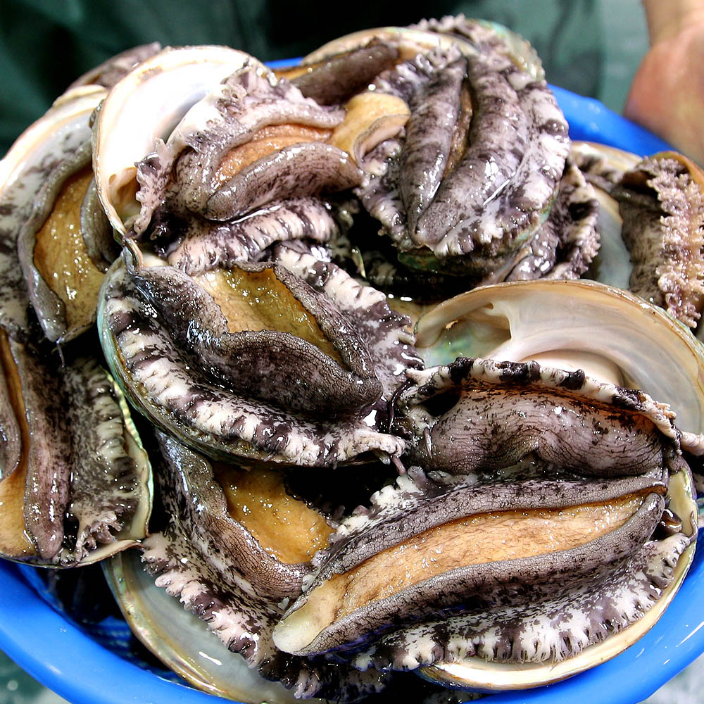 1668497823 thumbnail