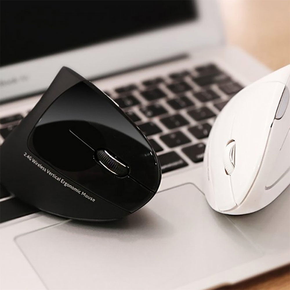 1668500506 thumbnail