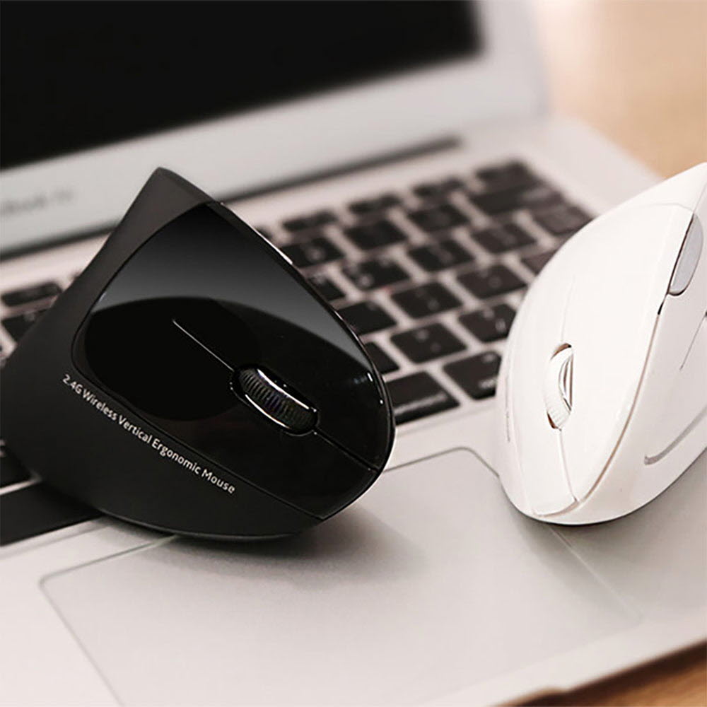 1668500507 thumbnail