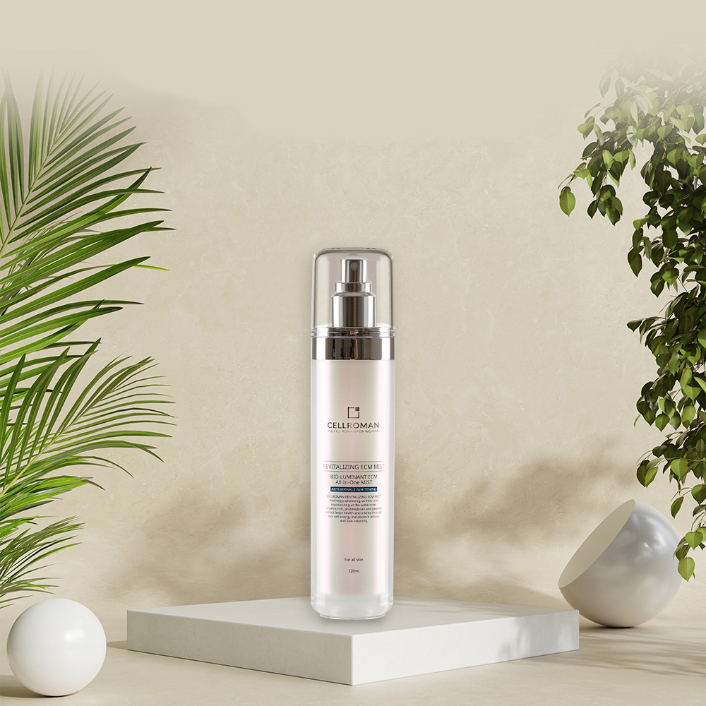 1668559854 thumbnail