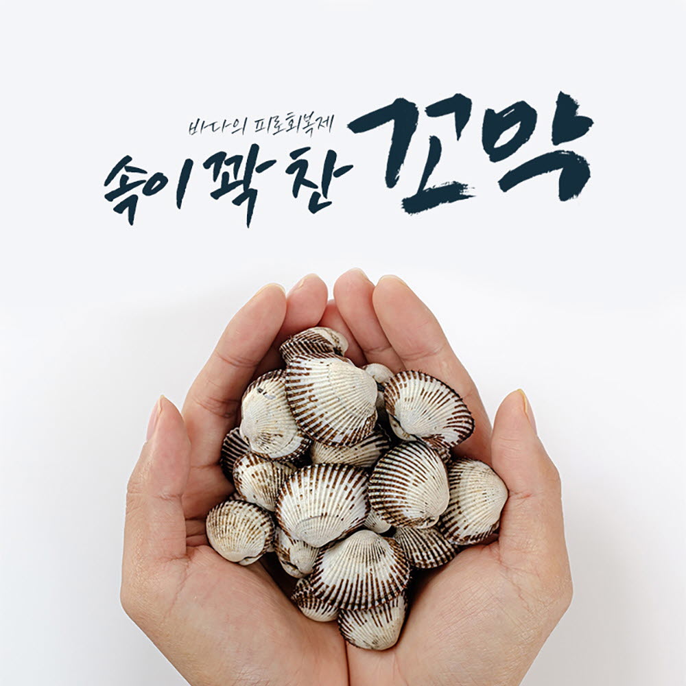 1668675444 thumbnail