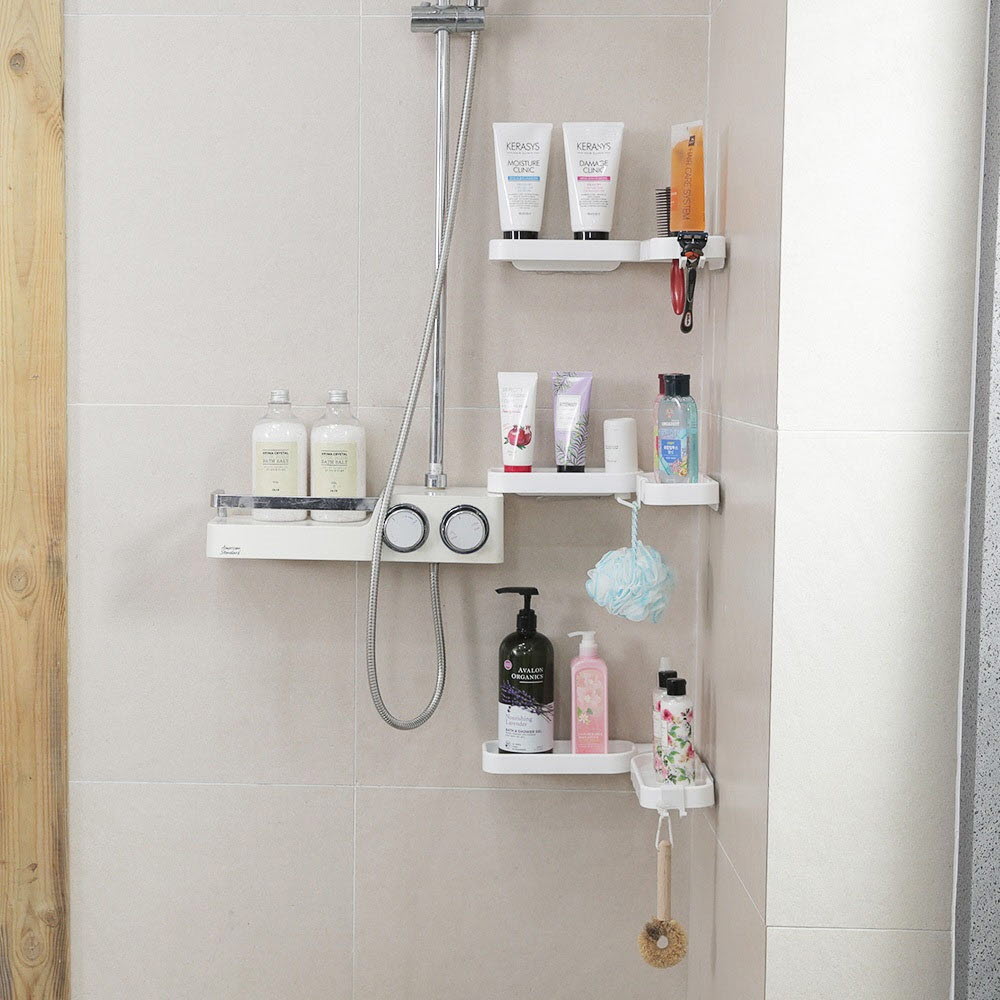 1668675456 thumbnail