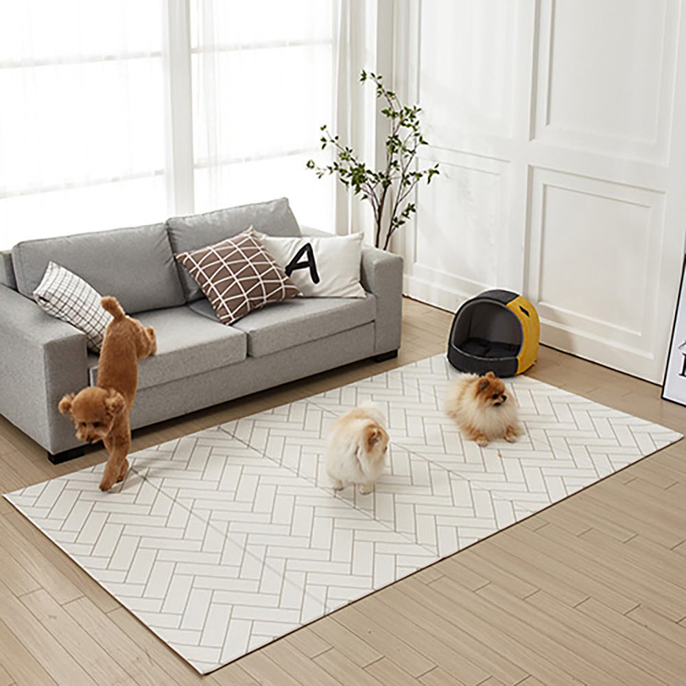 1668675461 thumbnail