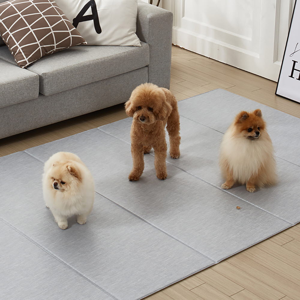 1668675463 thumbnail