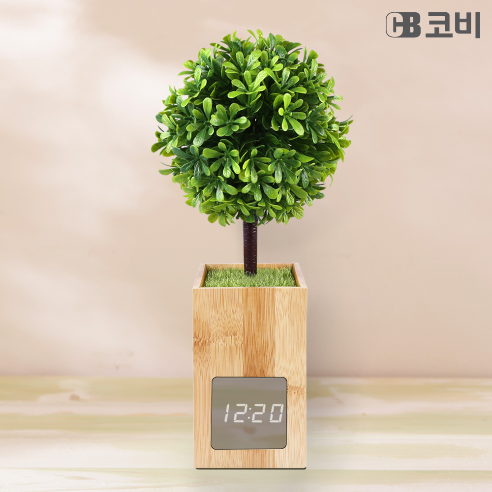 1668741248 thumbnail