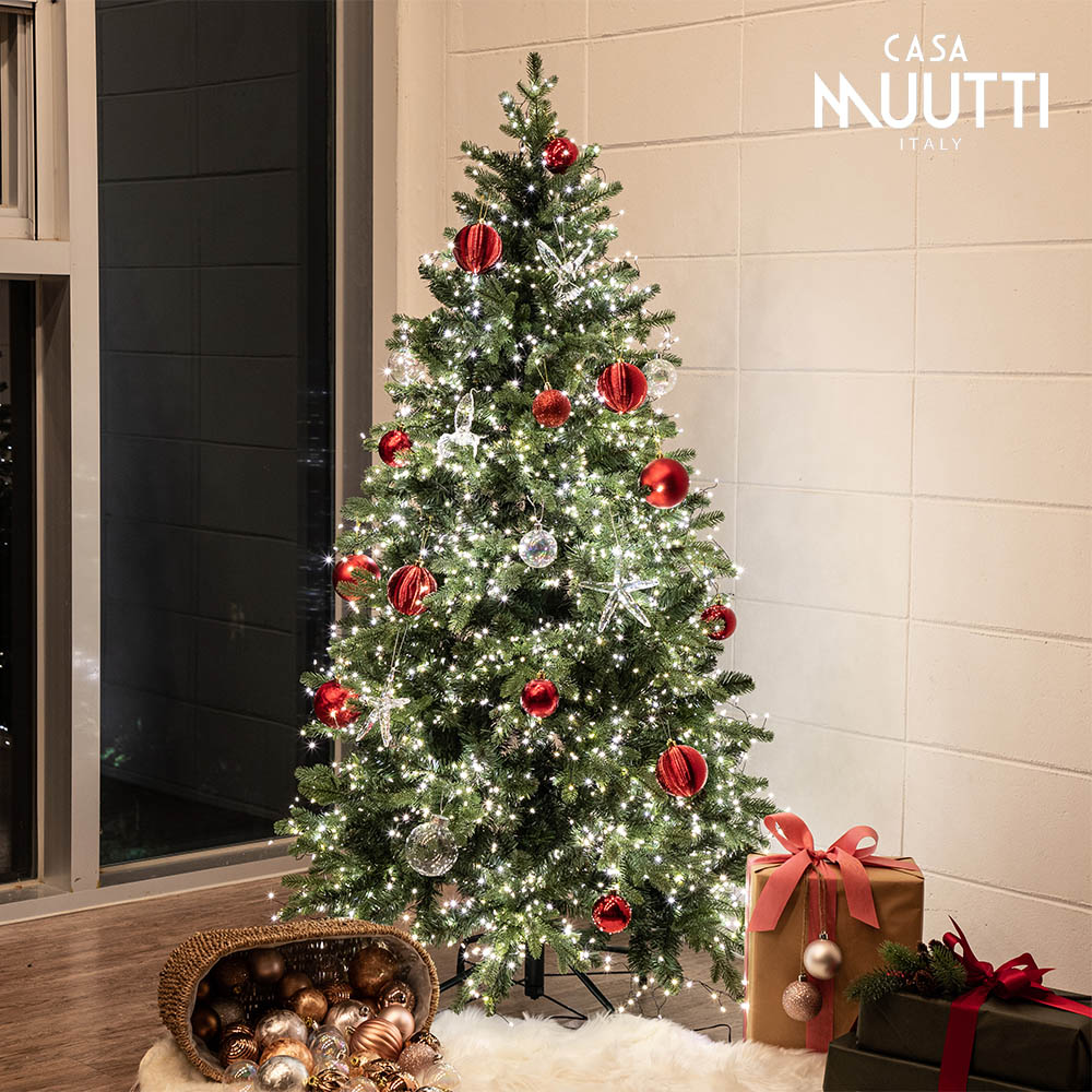 1669012989 thumbnail