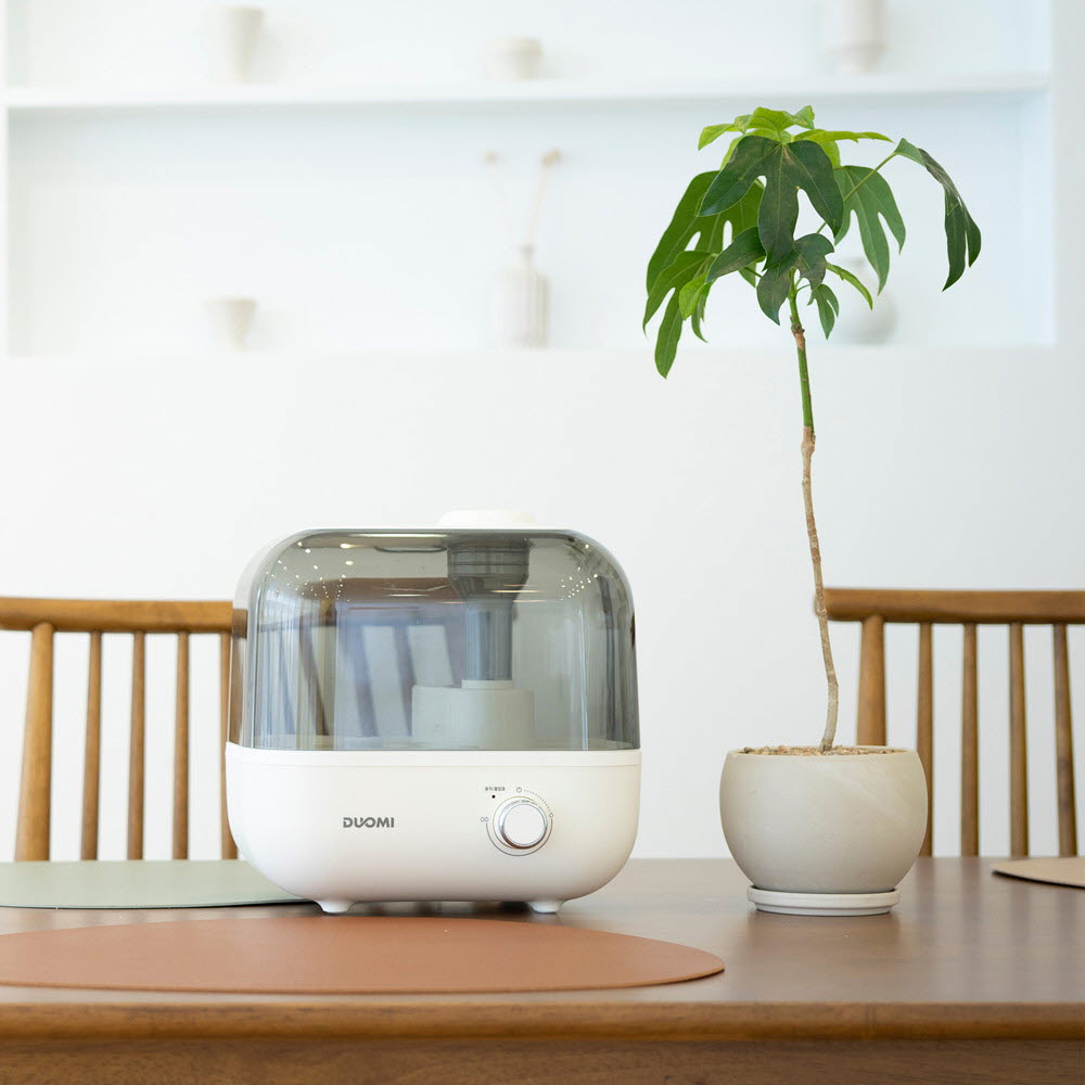 1669014583 thumbnail