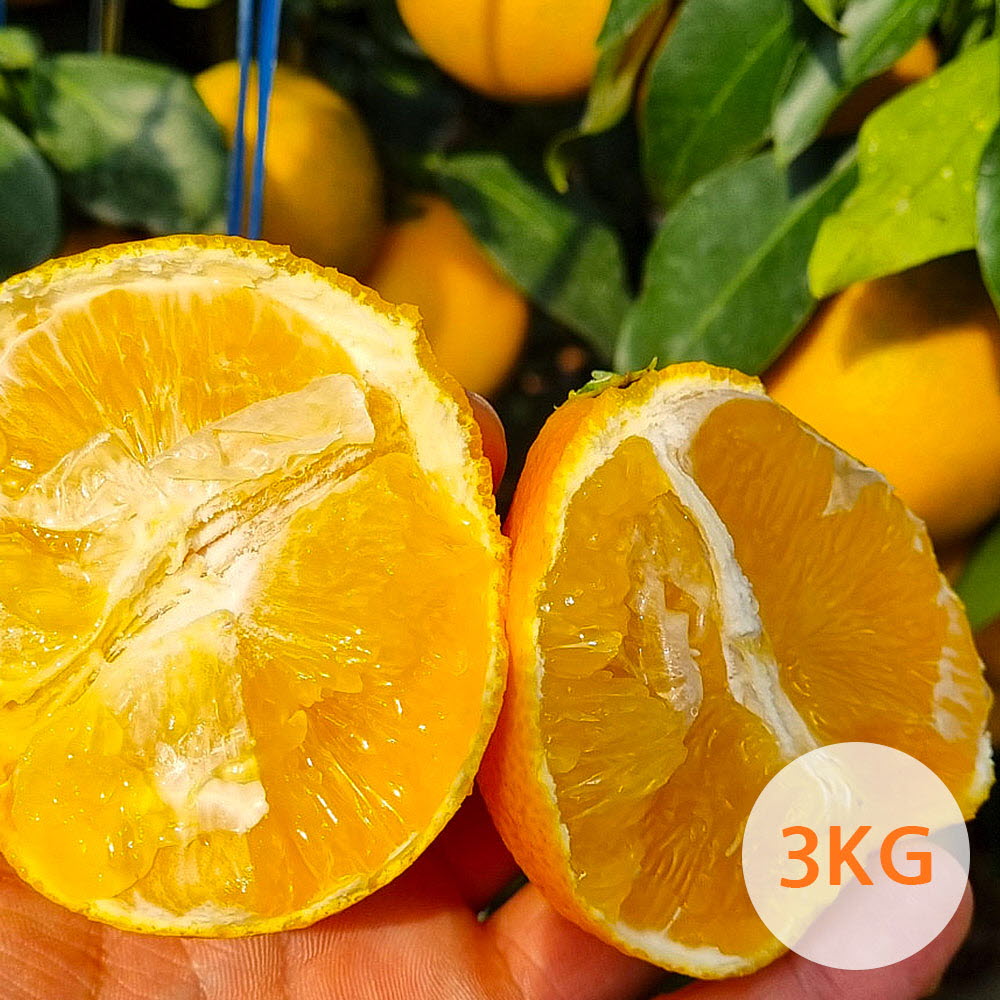 1669014649 thumbnail