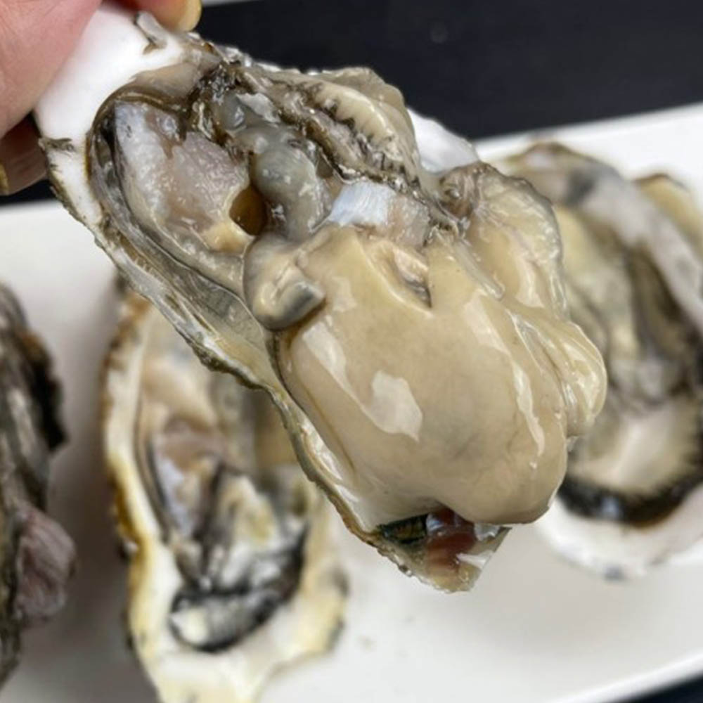 1669271268 thumbnail