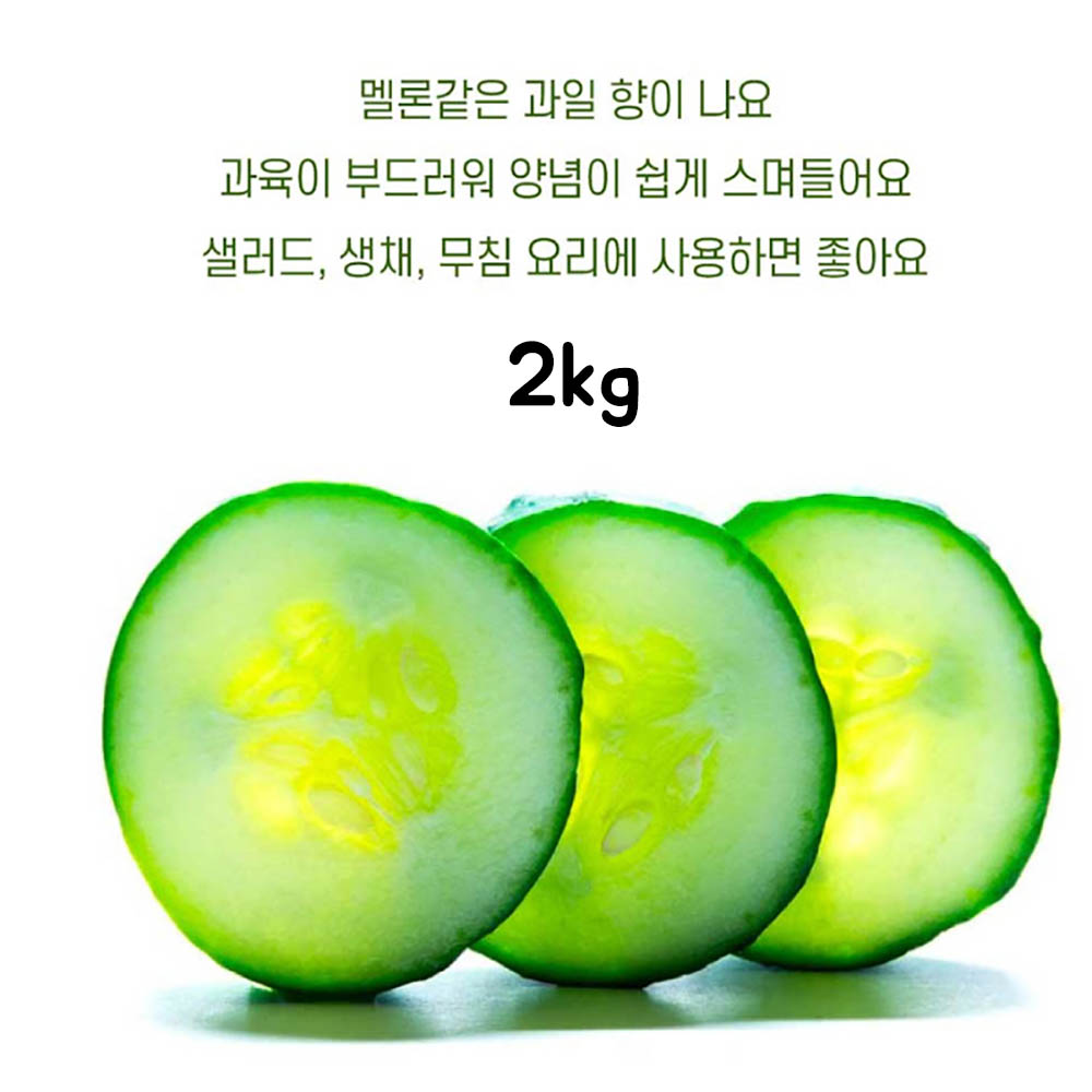 1669271269 thumbnail