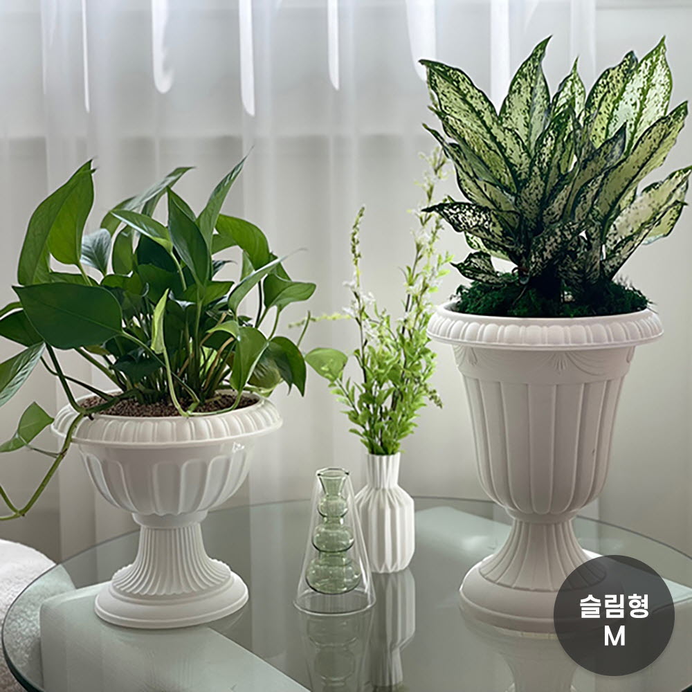 1669275860 thumbnail