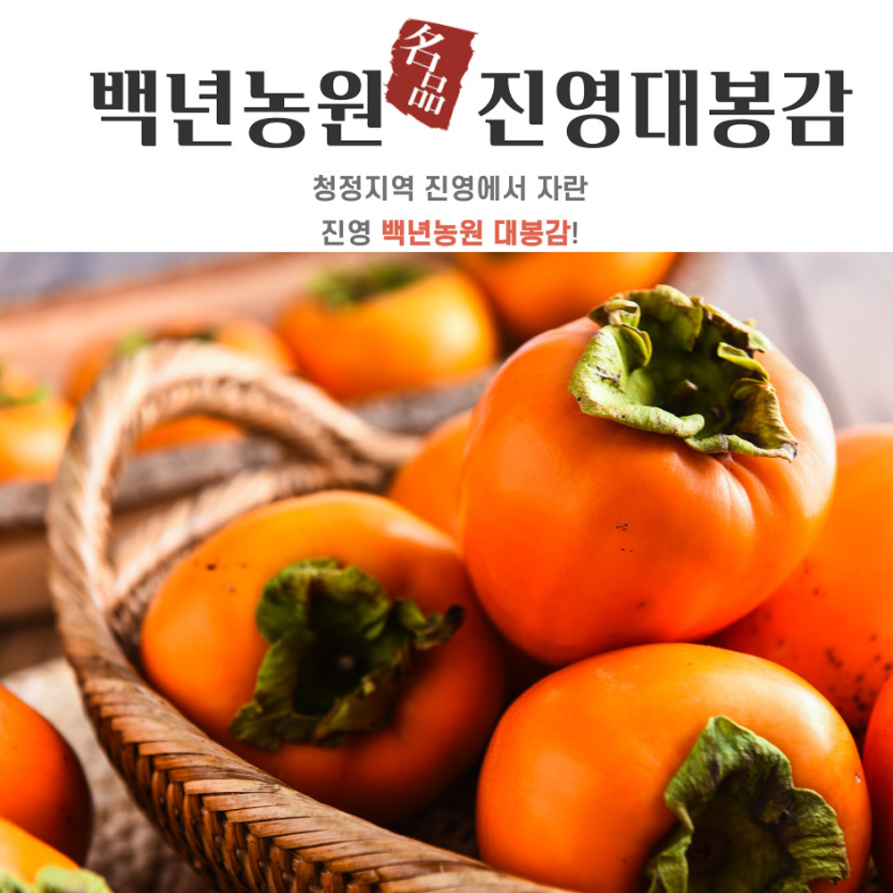 1669620506 thumbnail