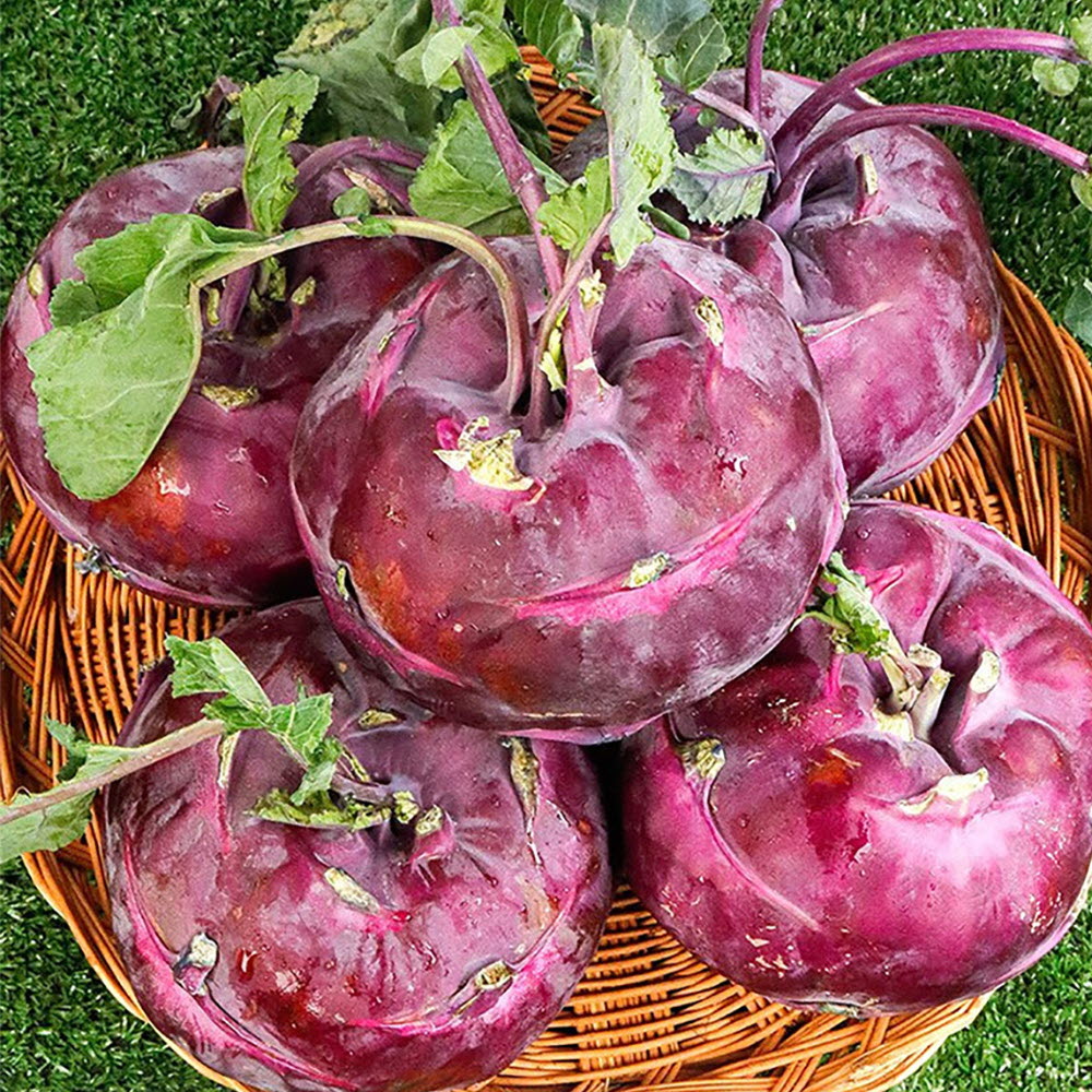 1669622205 thumbnail