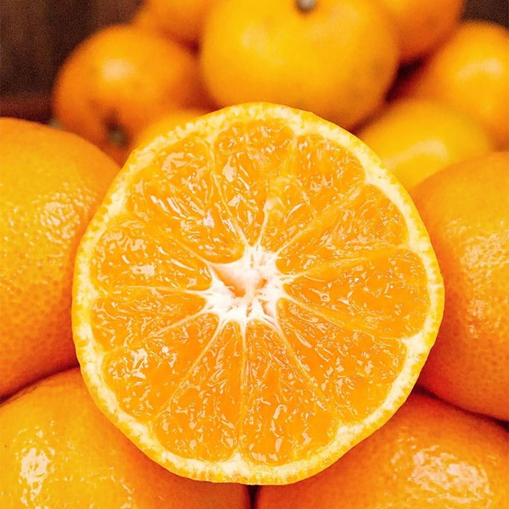 1669622210 thumbnail