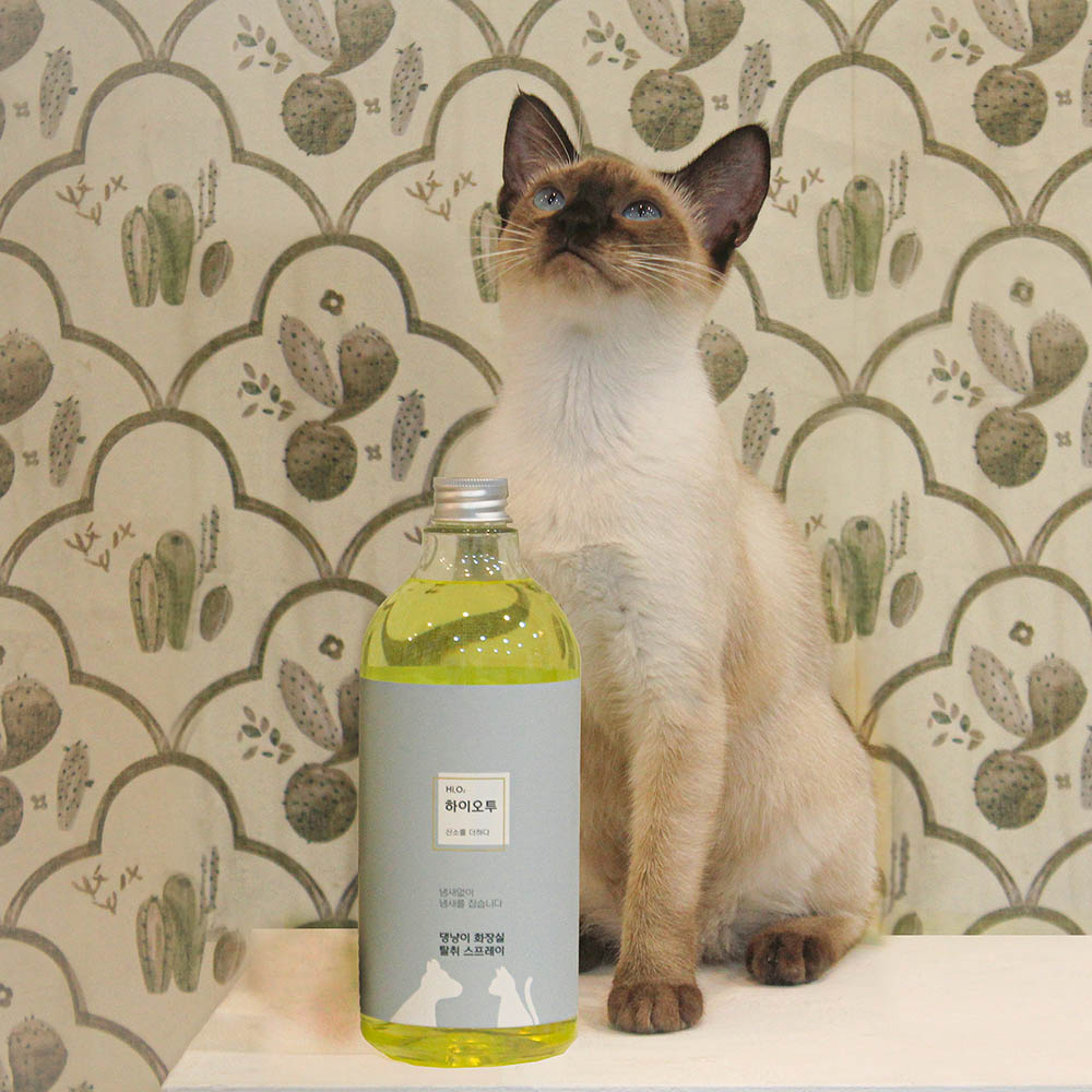 1669695155 thumbnail