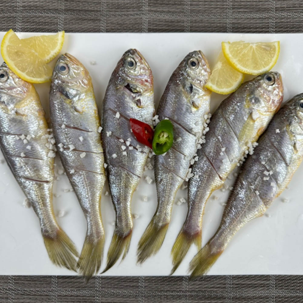 1669795514 thumbnail