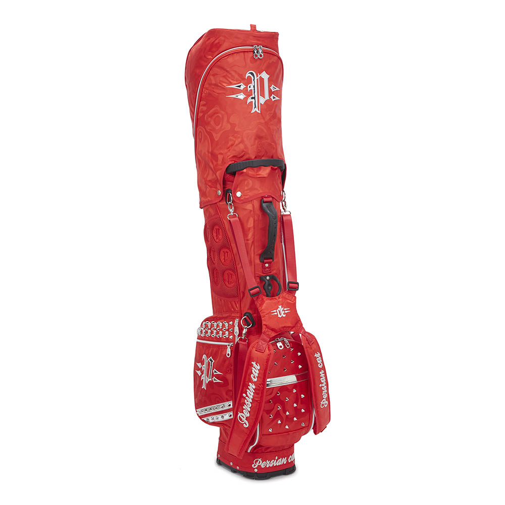 1669875923 thumbnail