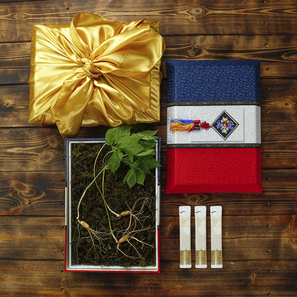 1669875975 thumbnail