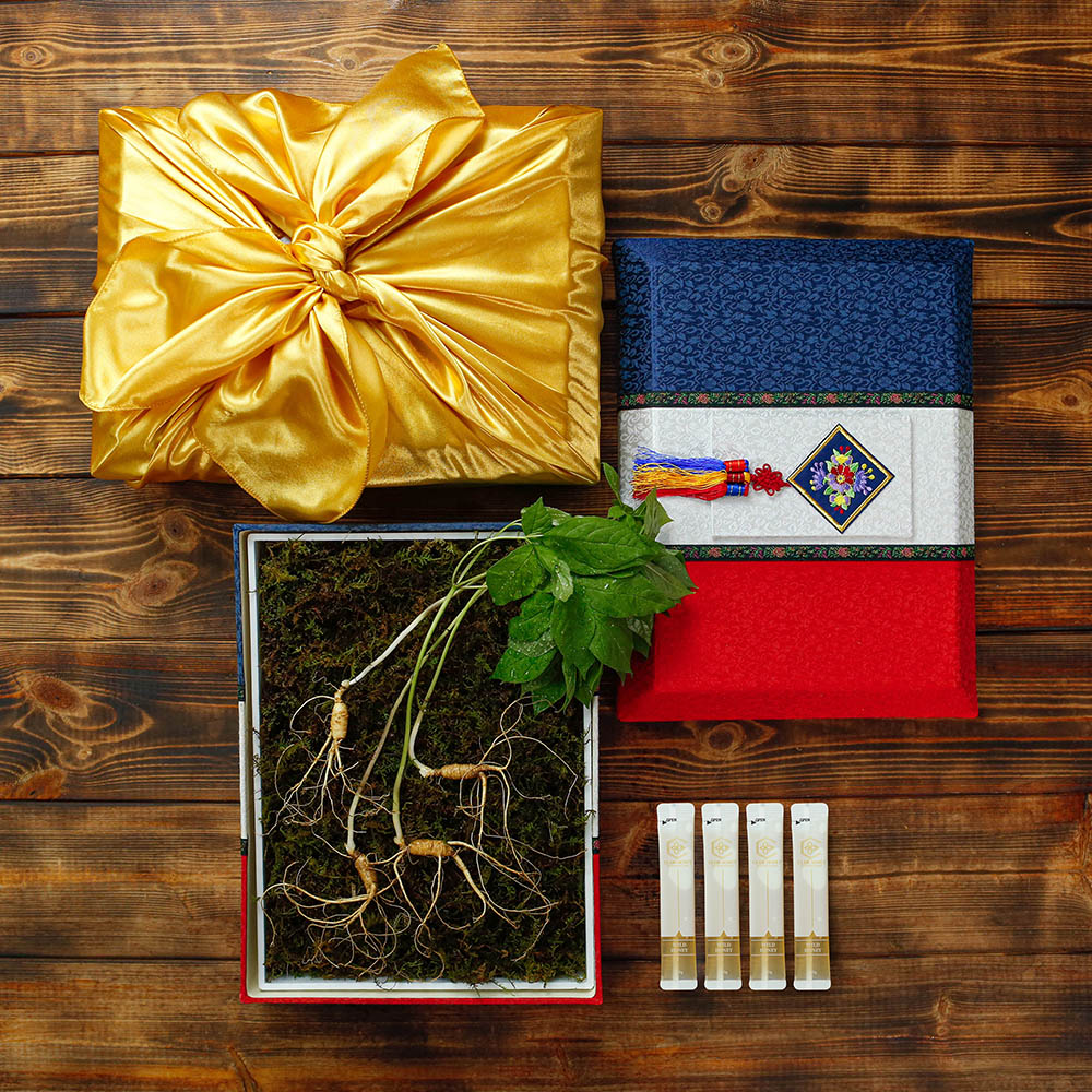 1669875976 thumbnail