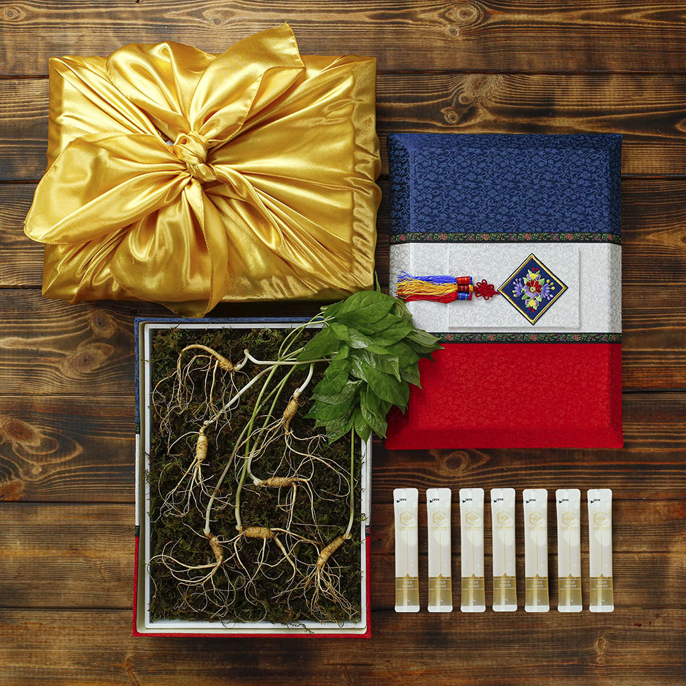 1669875981 thumbnail