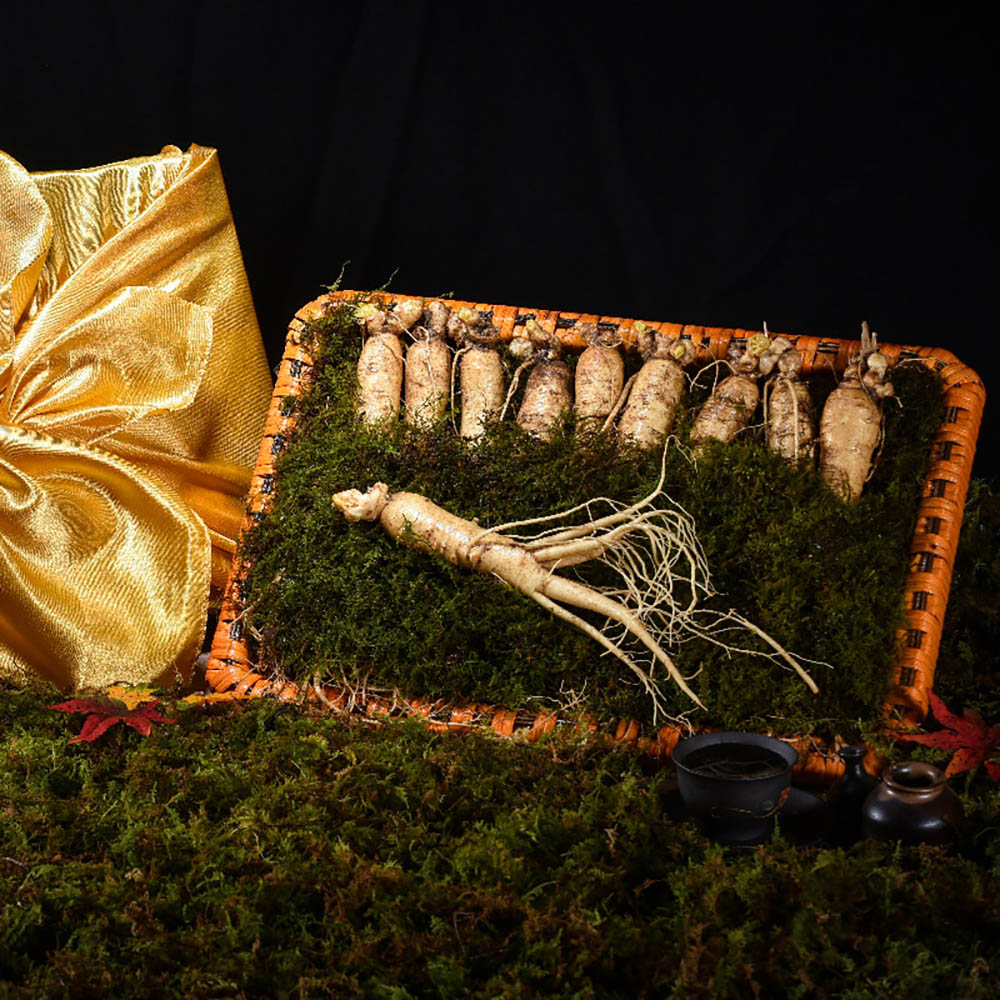 1669875990 thumbnail