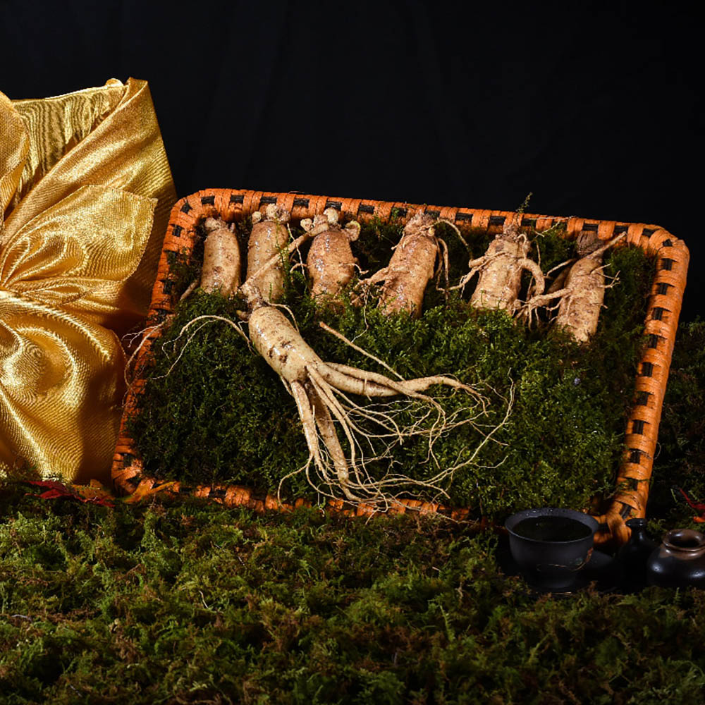 1669875991 thumbnail