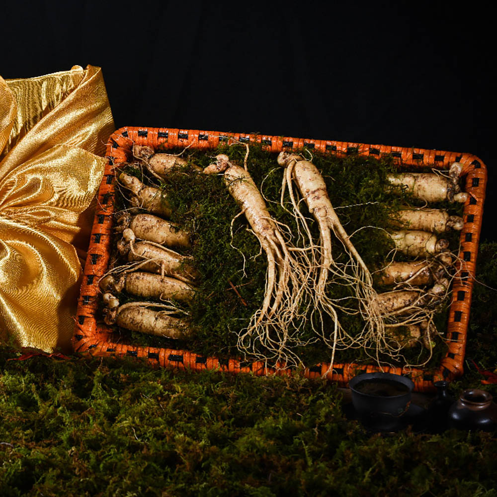 1669875992 thumbnail