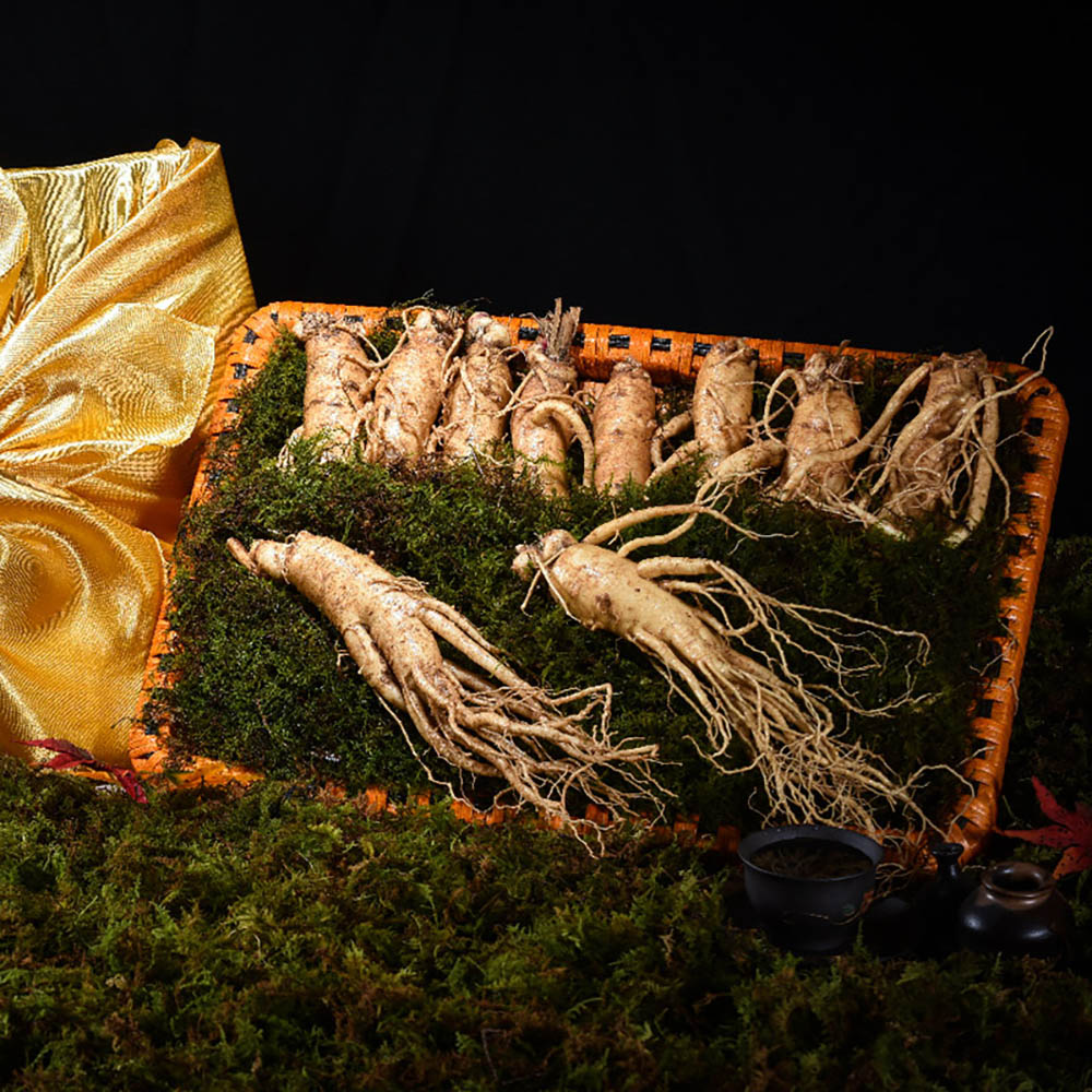 1669875993 thumbnail