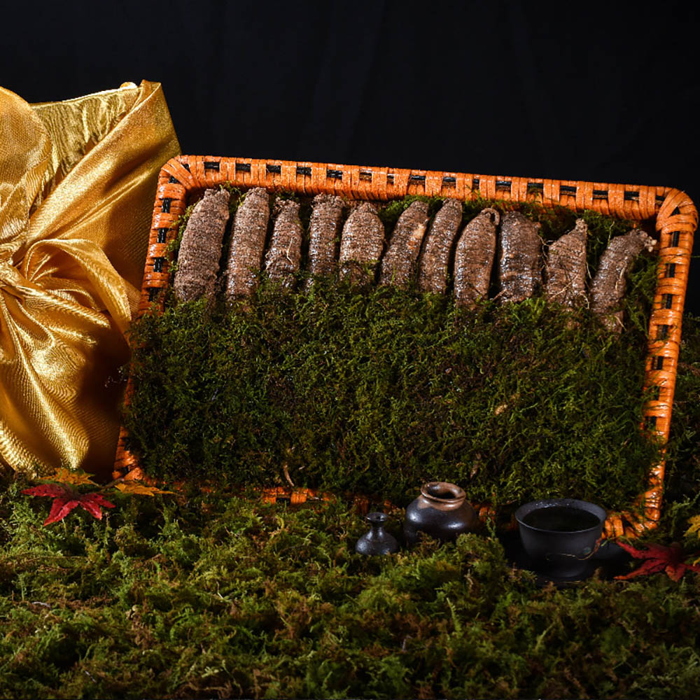 1669875995 thumbnail