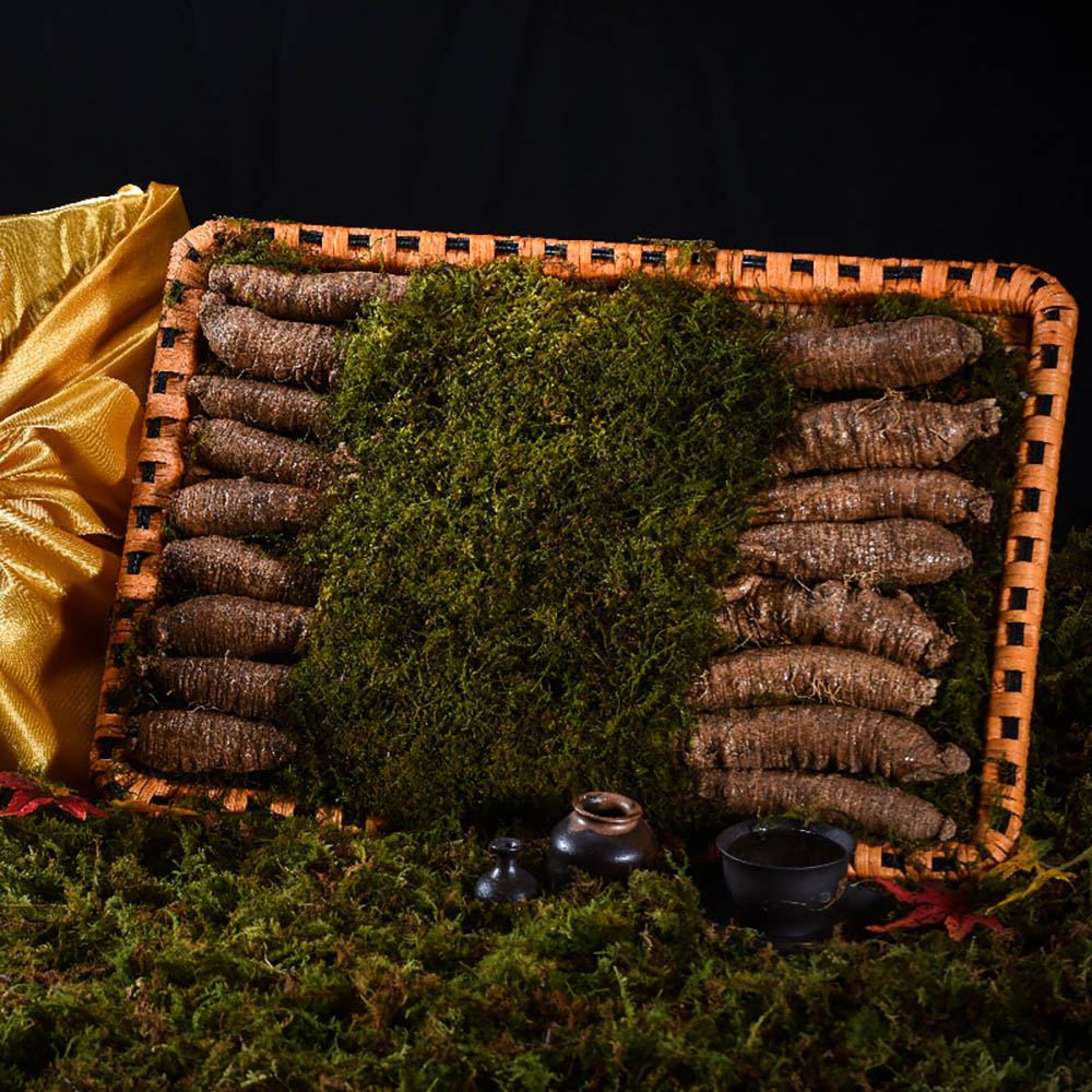 1669875996 thumbnail