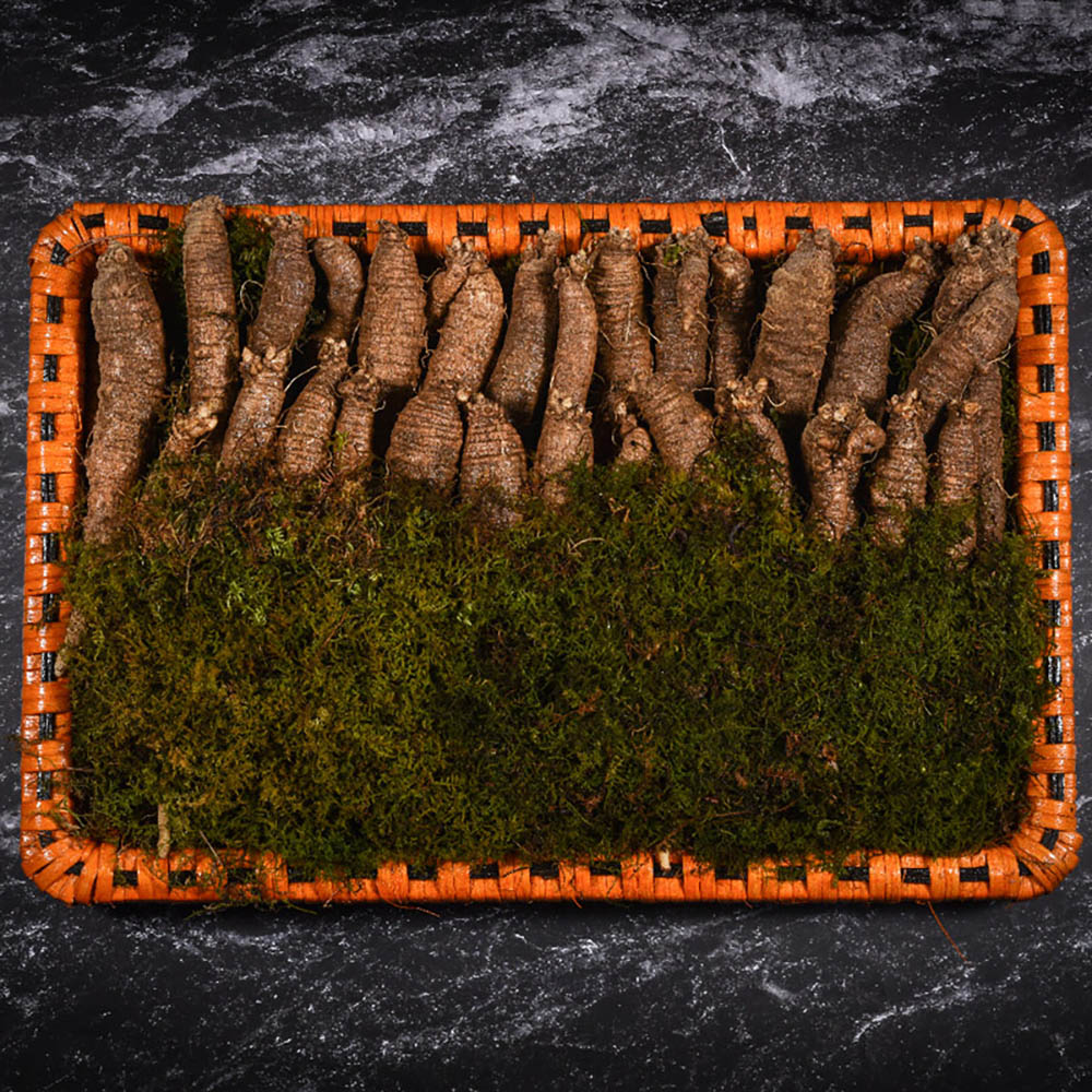 1669875997 thumbnail