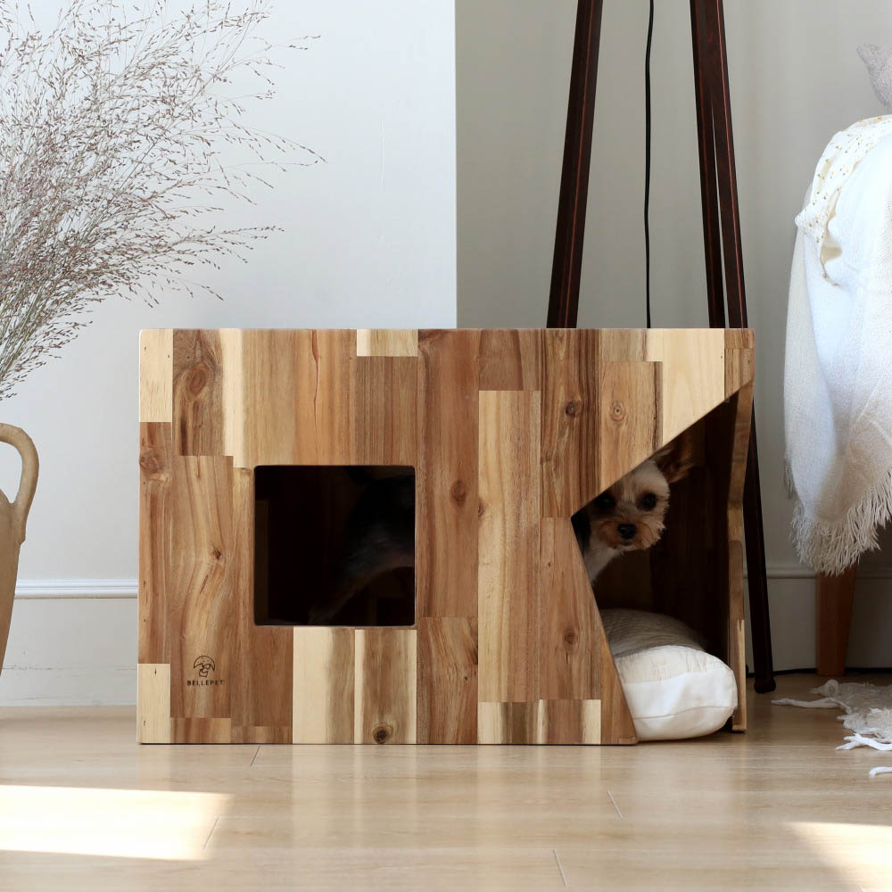 1669958377 thumbnail