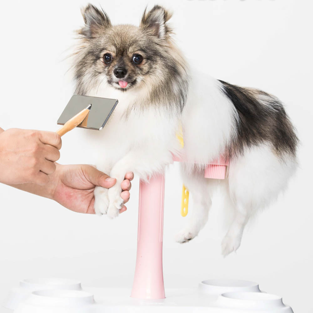 1670204715 thumbnail