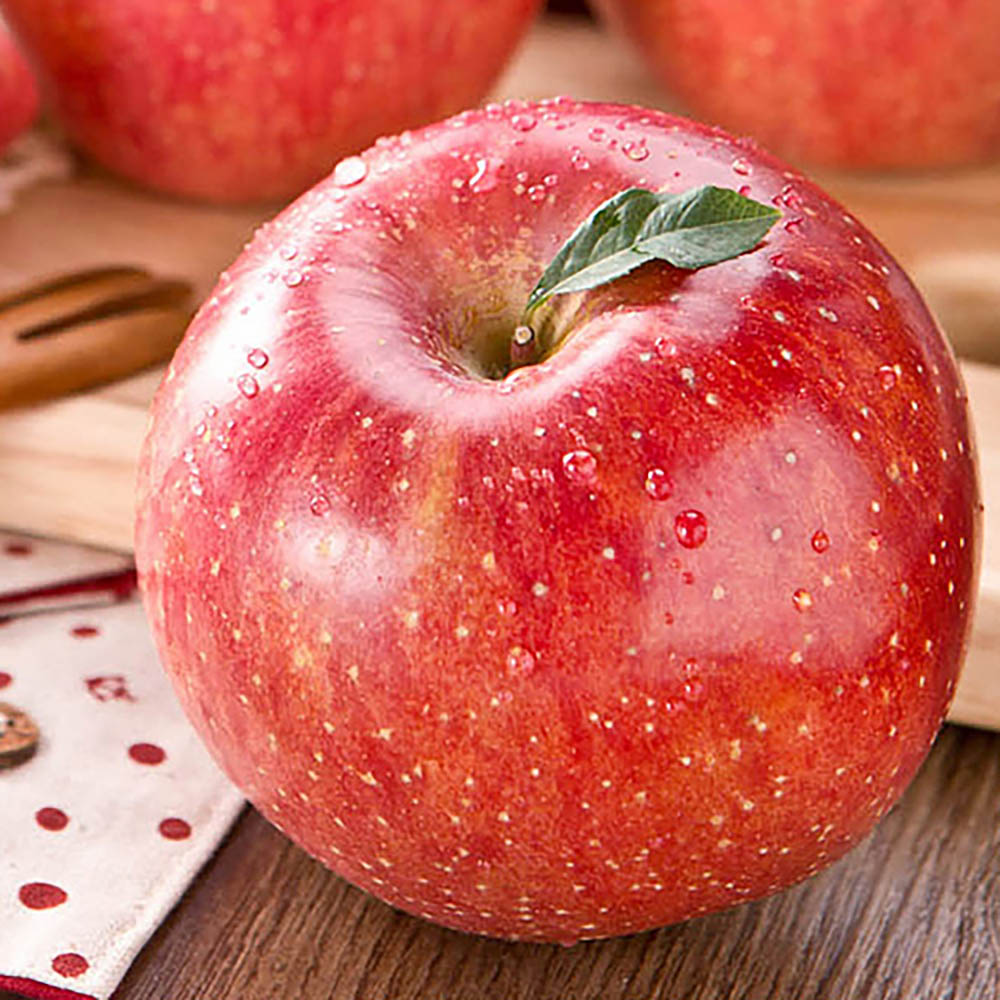 1670204718 thumbnail