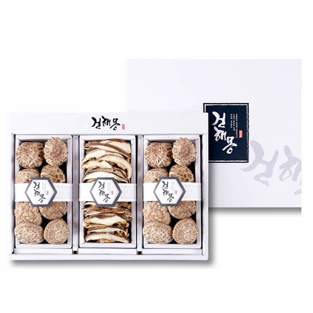 1670216907 thumbnail