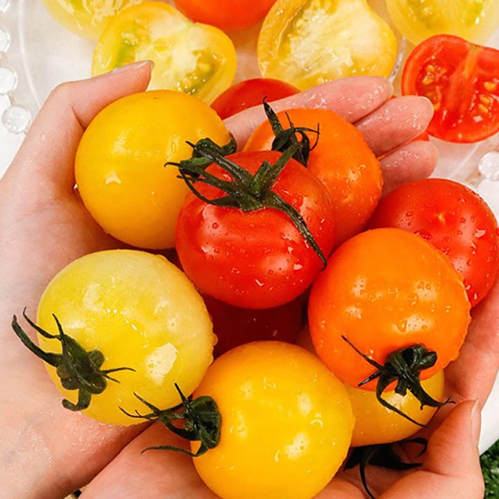 1670229973 thumbnail