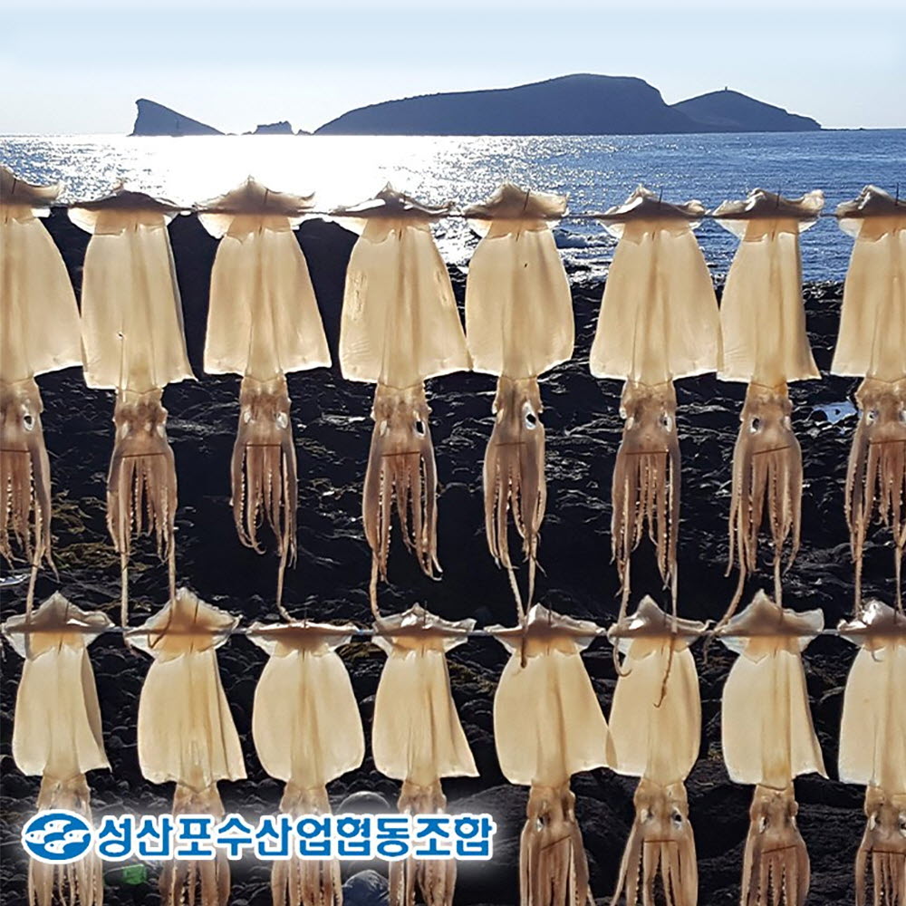 1670229977 thumbnail