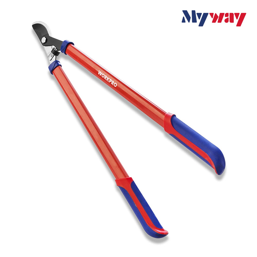 1670230027 thumbnail