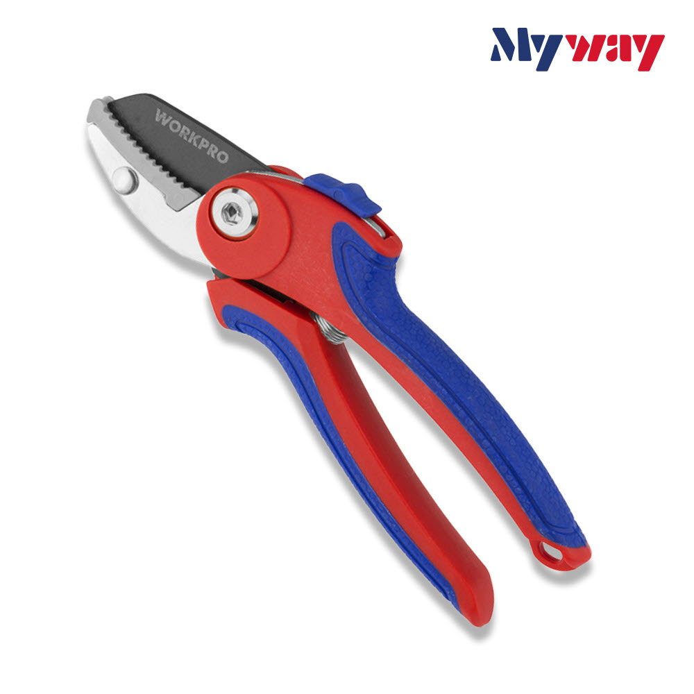 1670230029 thumbnail