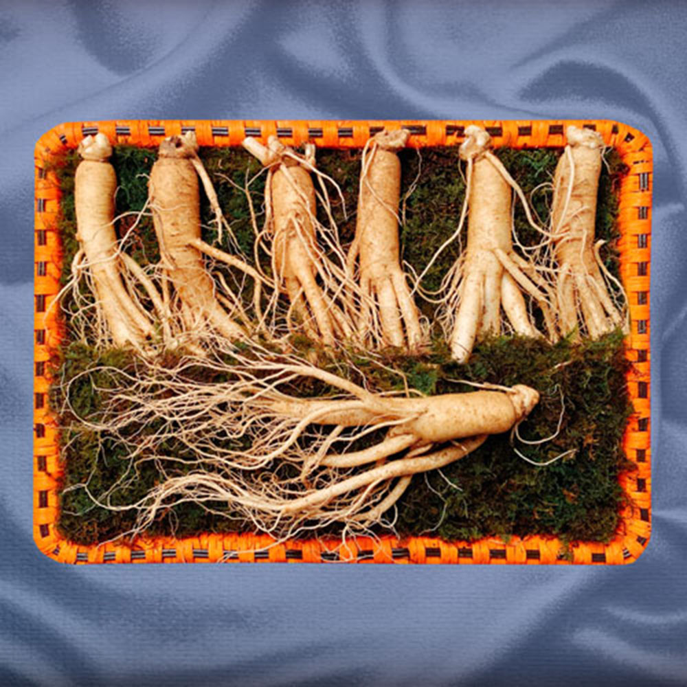 1670230385 thumbnail