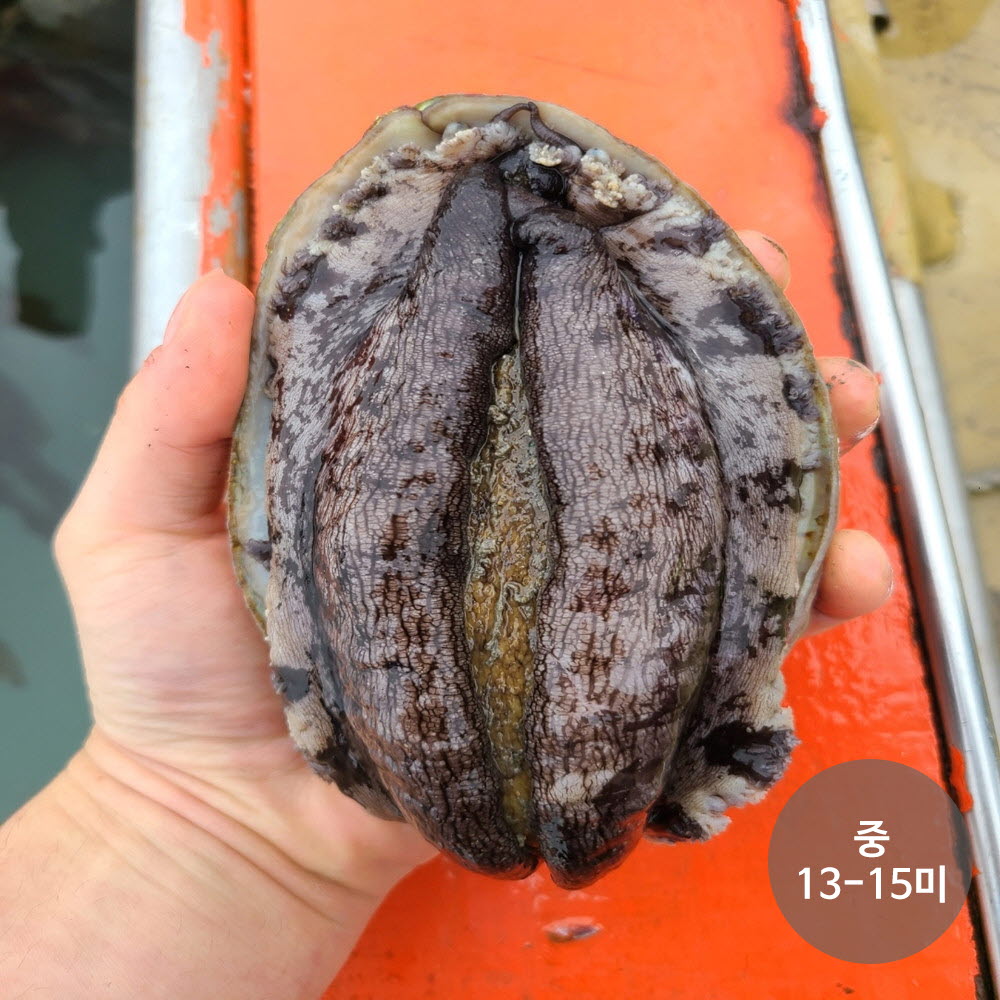 1670401879 thumbnail