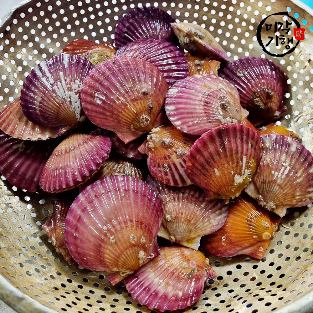 1670401950 thumbnail