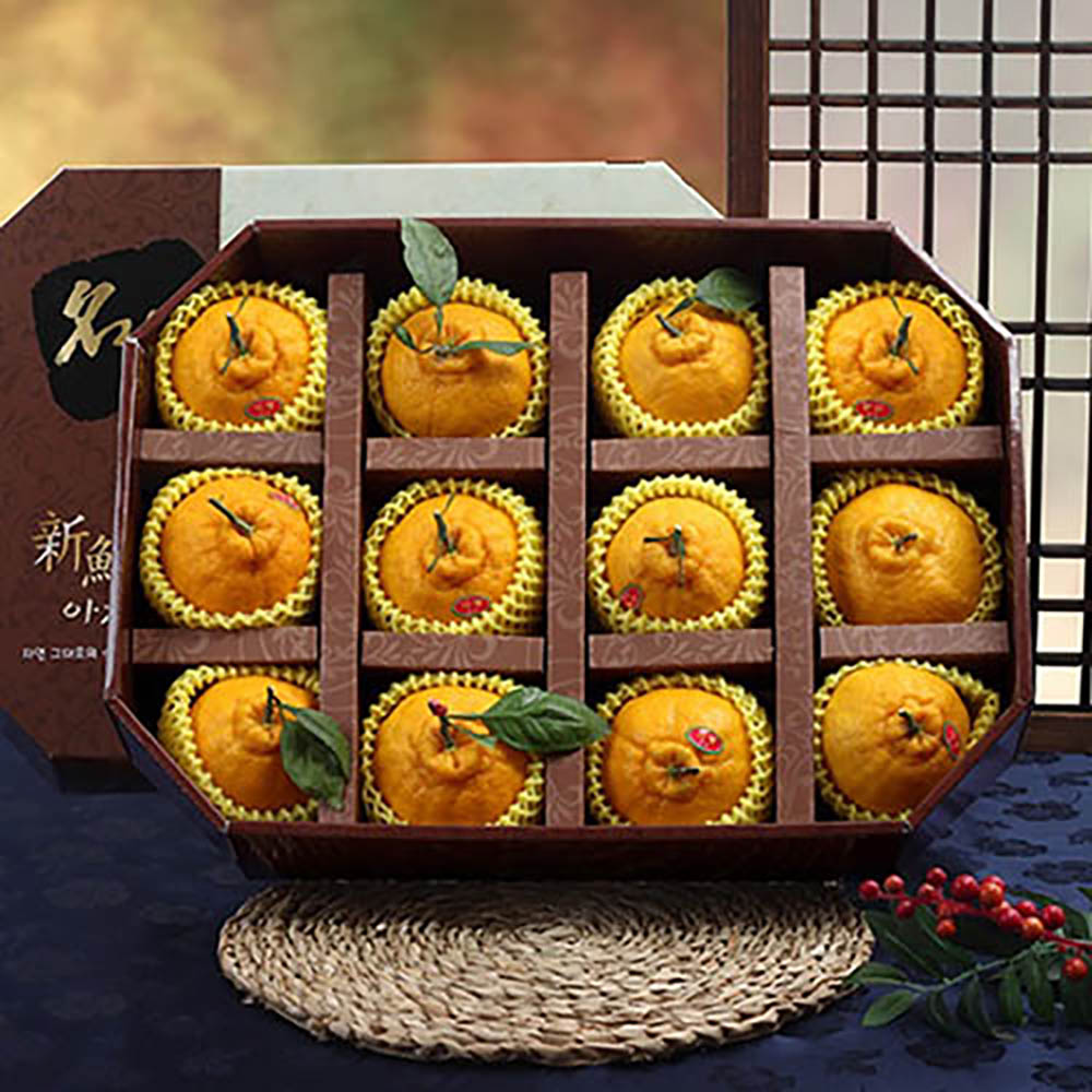 1670477864 thumbnail