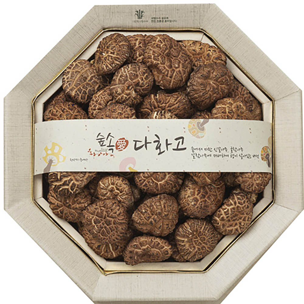 1670477934 thumbnail