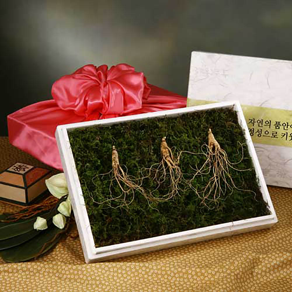 1670477937 thumbnail