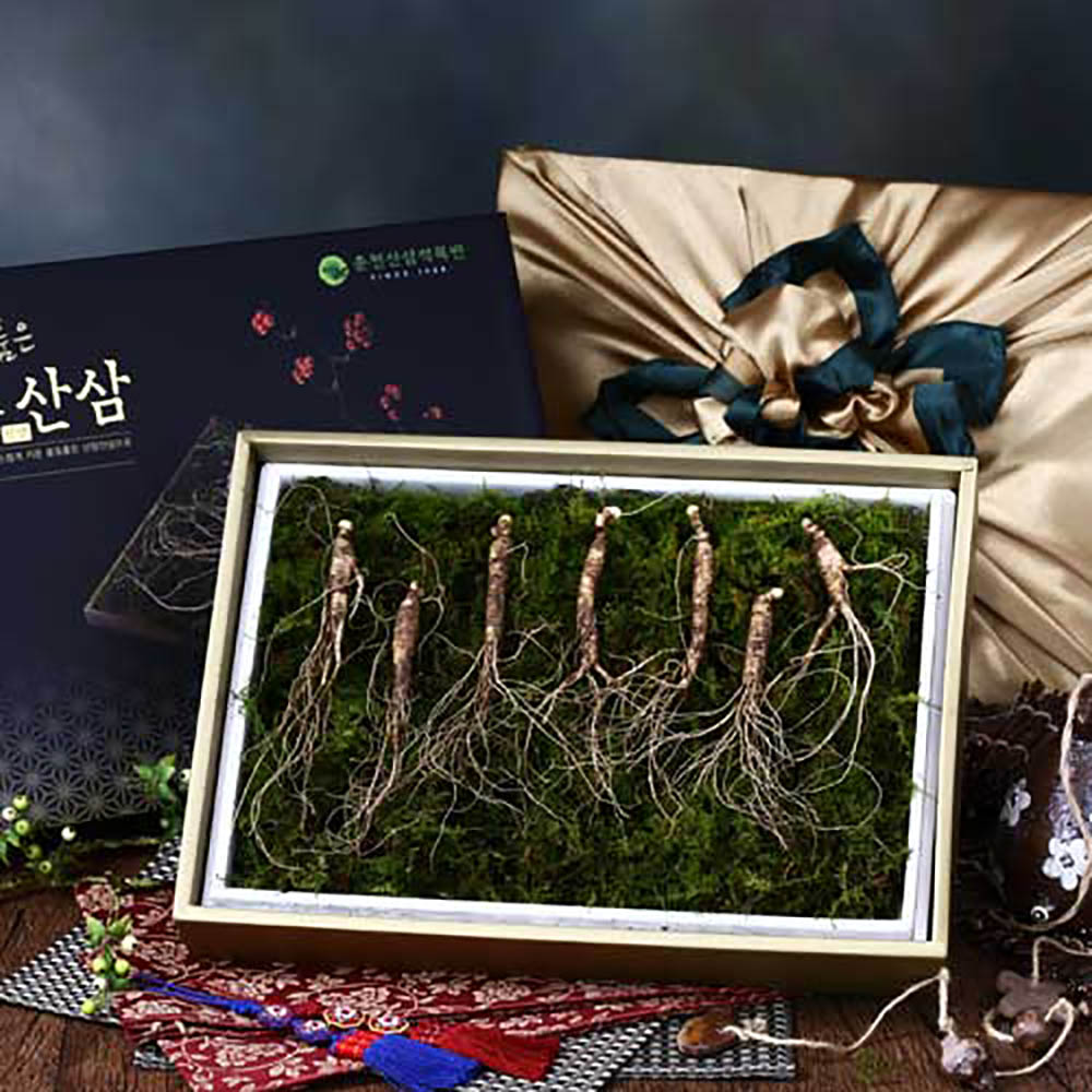 1670477947 thumbnail