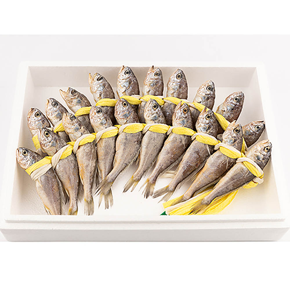 1670477949 thumbnail