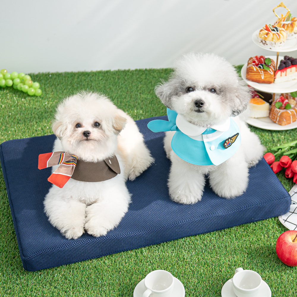 1670565973 thumbnail