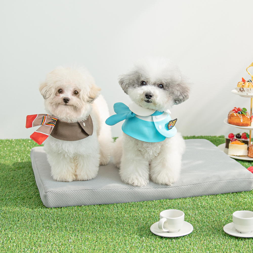 1670565974 thumbnail